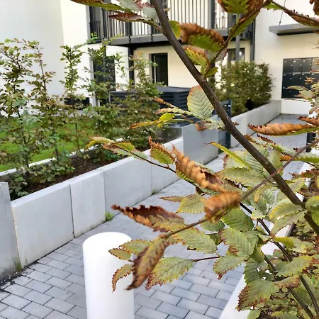 Apartment **city Flat**